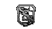 Security Service Specialists