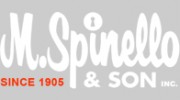 M Spinello & Son Security Expert